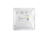 Фото товара Девелопер для RICOH IM C3010/C3510/C4510/C5510/C6010 (CET) Yellow, 250г, 160000 стр., CET171056